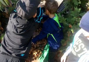 chłopcy wrzucają liście do kompostownika